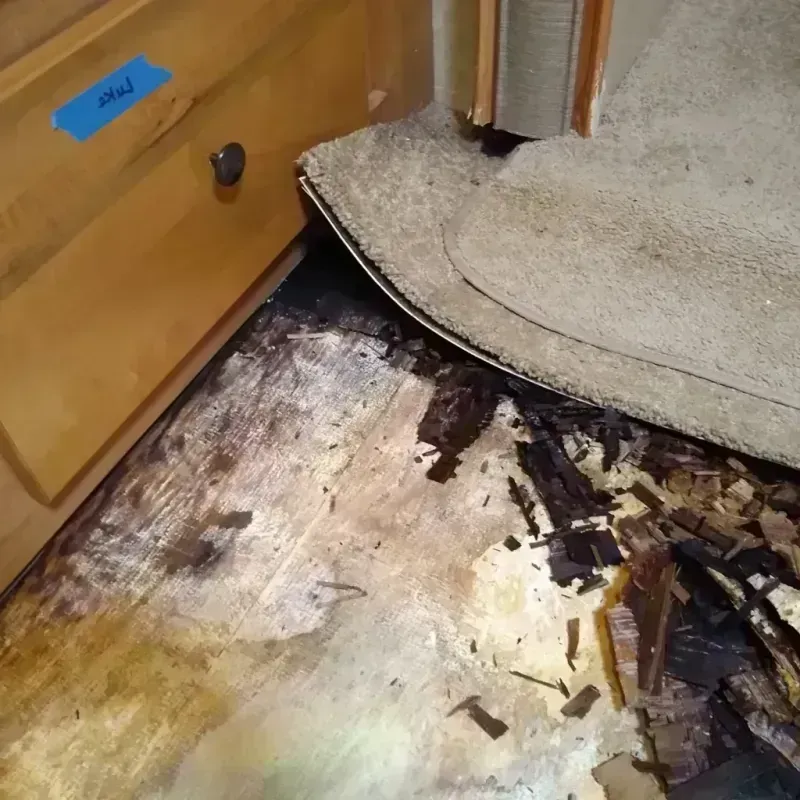 Best Wood Floor Water Damage Service in Canton, ME